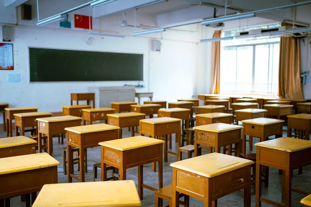 留学规划报告定制服务：从背景提升到院校对比的全流程拆解